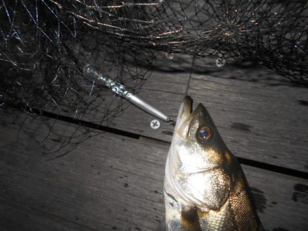 暗くなるまでが勝負