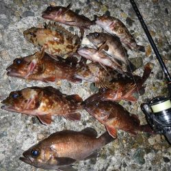 チビチビやりました