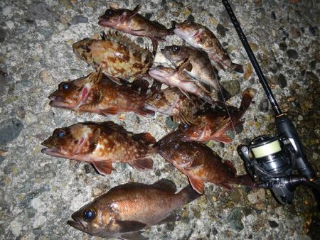 チビチビやりました