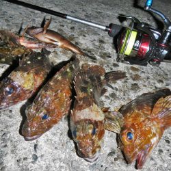 ショートでチビ