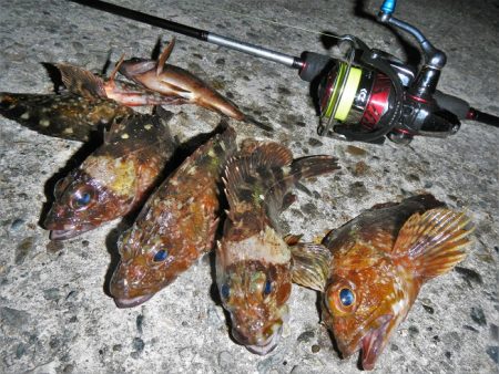 ショートでチビ