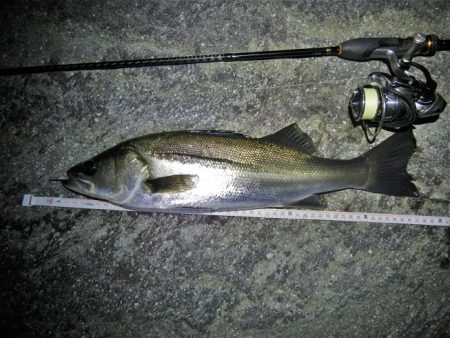 良く引きました