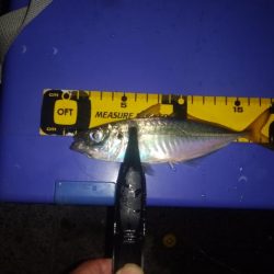 久しぶりにメバリング