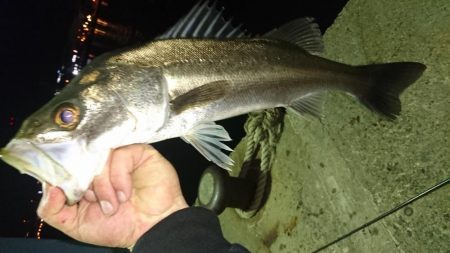 舞洲ライトゲーム