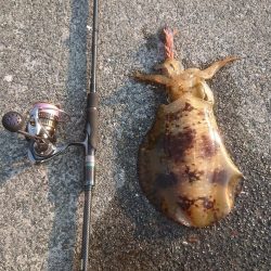 キロアップならず