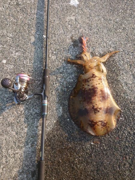 キロアップならず