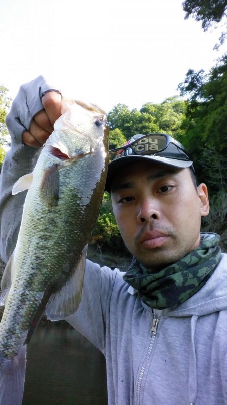 サイズが伸びない。