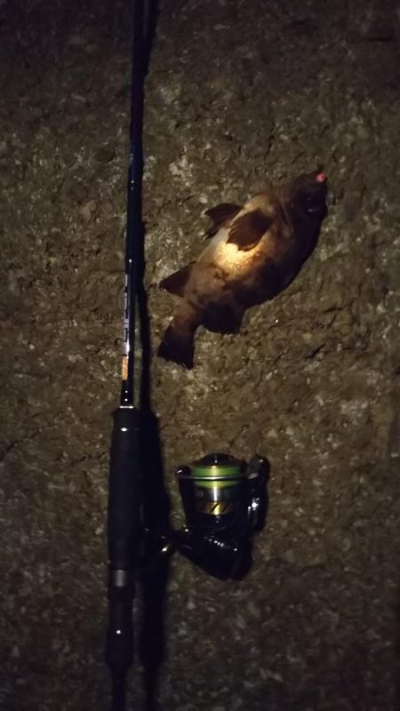 メバリングにまさかの・・・