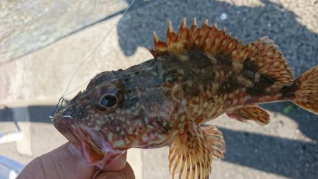 ベイティ2.3インチ