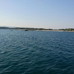 ライトショアジギング