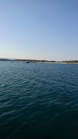 ライトショアジギング