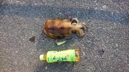 サイズアップならす。サイズダウン