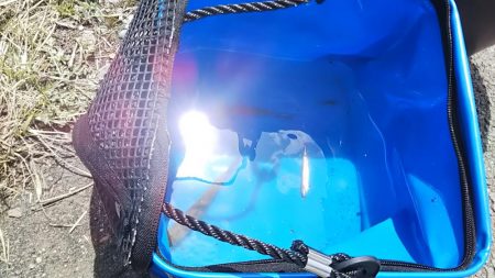 全然ダメ・・・