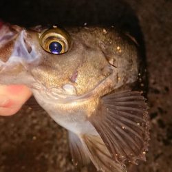 短時間メバリング