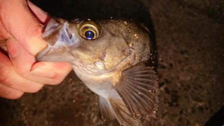 短時間メバリング