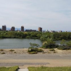 令和初の淀川バス