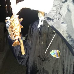 小さいのを数だけは・・・