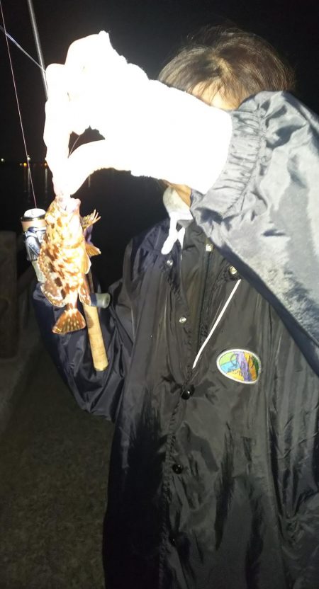 小さいのを数だけは・・・