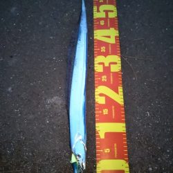 喰い渋るも辛うじて小刀 GET！