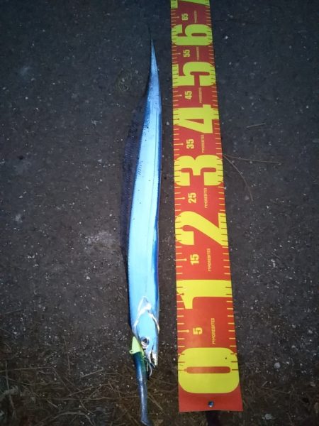 喰い渋るも辛うじて小刀 GET！