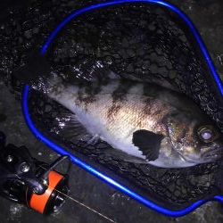 アタリは忘れた頃にやってくる!