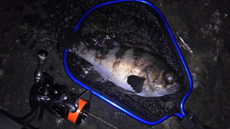 アタリは忘れた頃にやってくる!