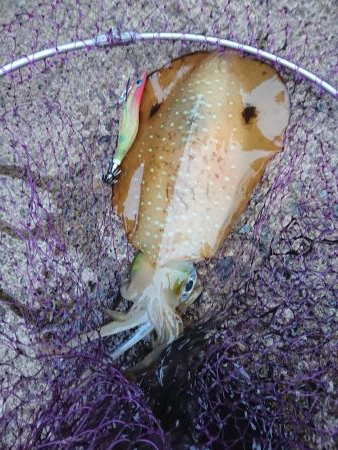 相変わらずの強風の中