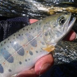 場所替えで何とか