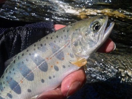 場所替えで何とか