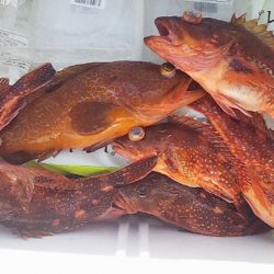 こういう日もあるよね