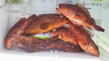 こういう日もあるよね