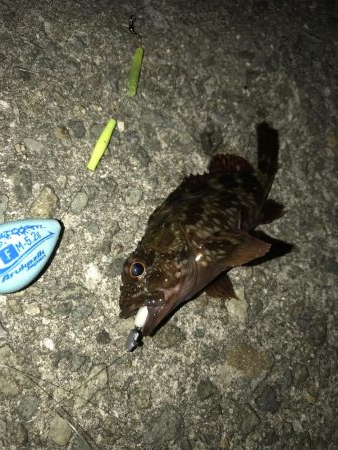 連休大潮初日なので