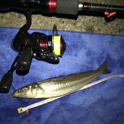 まさかのキス２２㎝