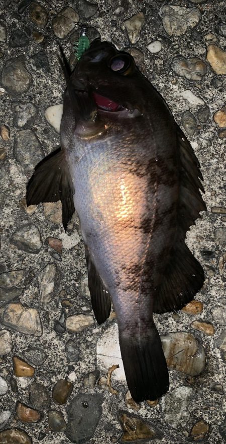 のんびりライトゲーム