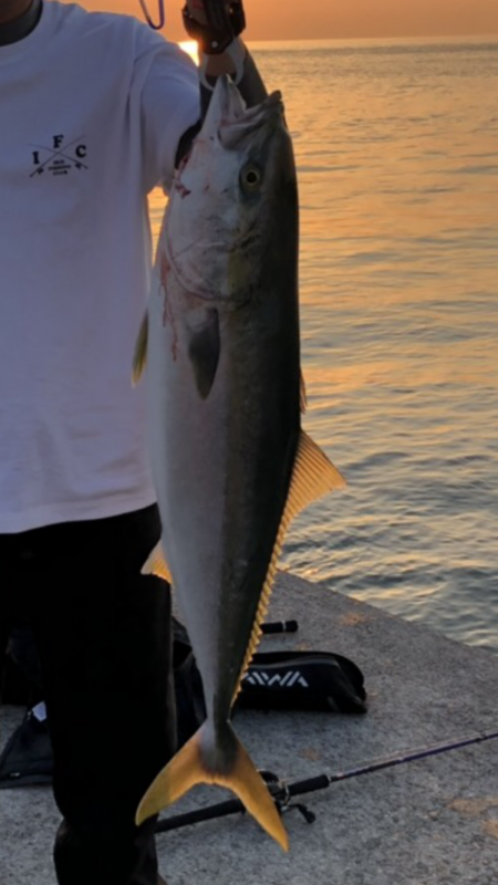 岩屋一文字で初ブリ