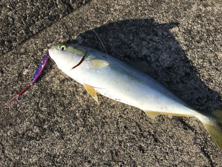 令和元年初釣行