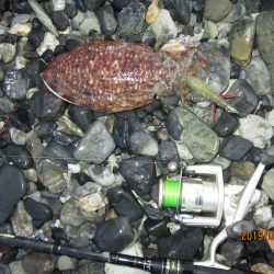 やる気スイッチ、俺のはどこにあるんだろう…