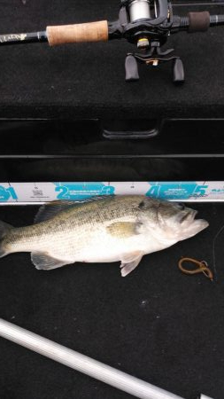 GWビッグフィシュ狙い