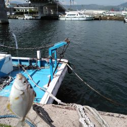 釣り姫ベイビー爆誕