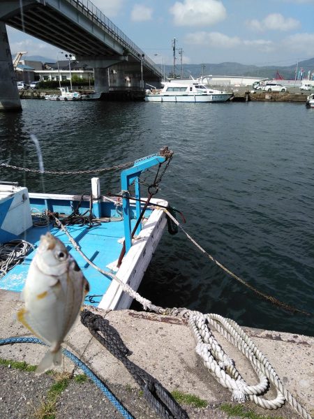 釣り姫ベイビー爆誕