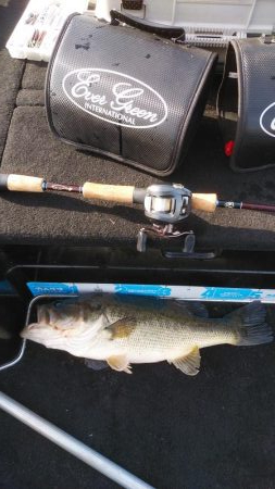 GW明けアシ打ち爆釣