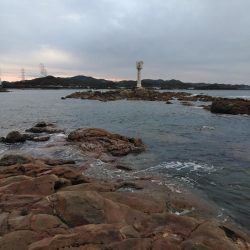 グレ・サンコ・釣れ出す・・