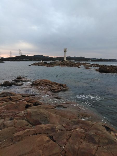 グレ・サンコ・釣れ出す・・