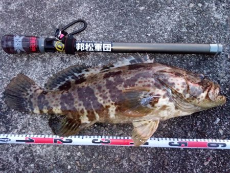 外道ですが（笑）