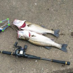 ひさびさの日本海