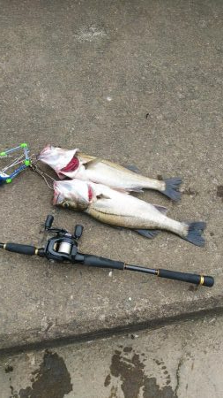 ひさびさの日本海