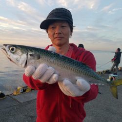 大サバ　42.5cm　！！陸っぱり！