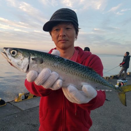 大サバ　42.5cm　！！陸っぱり！