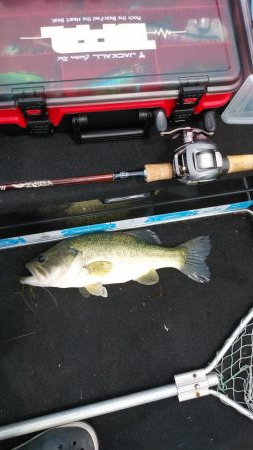 ヒシモパターン