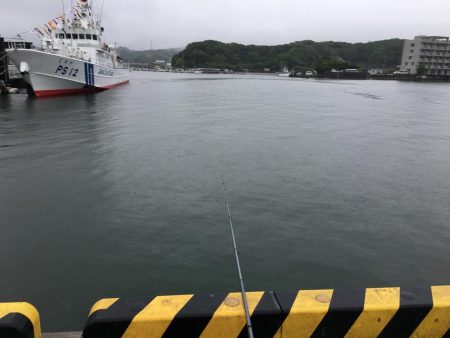 アジ8匹、コノシロ1匹